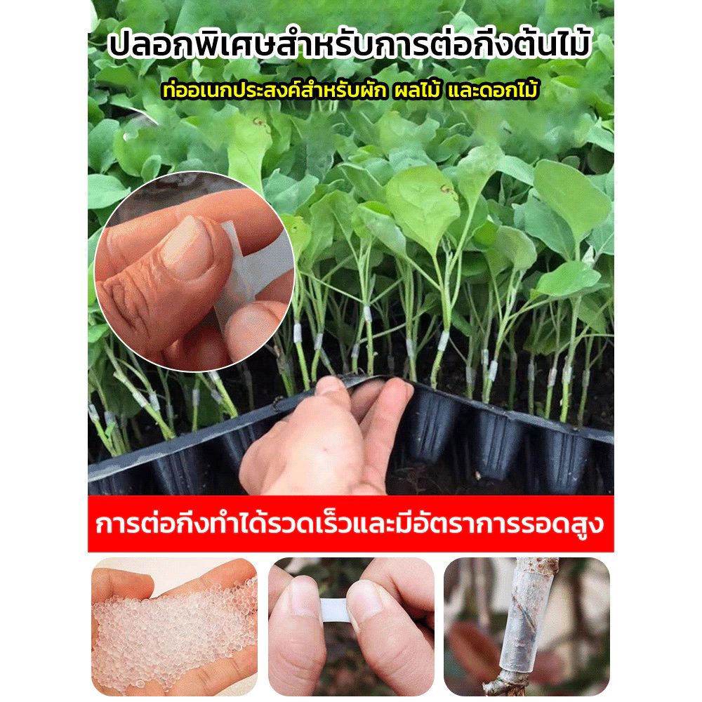 ปลอกซิลิโคนต่อกิ่ง อุปกรณ์ป้องกันจุดต่อกิ่งสำหรับไม้ผลและไม้ดอก thumbnail 3