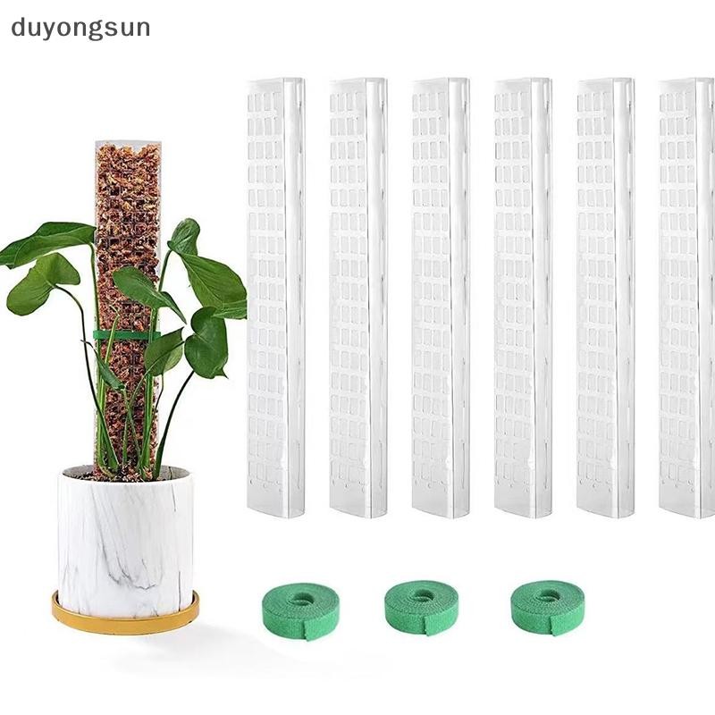 (duyongsun) 2/4/6 ชิ้นพืชปีนเขาน้ํา Moss คอลัมน์ในร่ม Moss POLE พืชเสาพลาสติกสําหรับ Sphagnum สนับสน