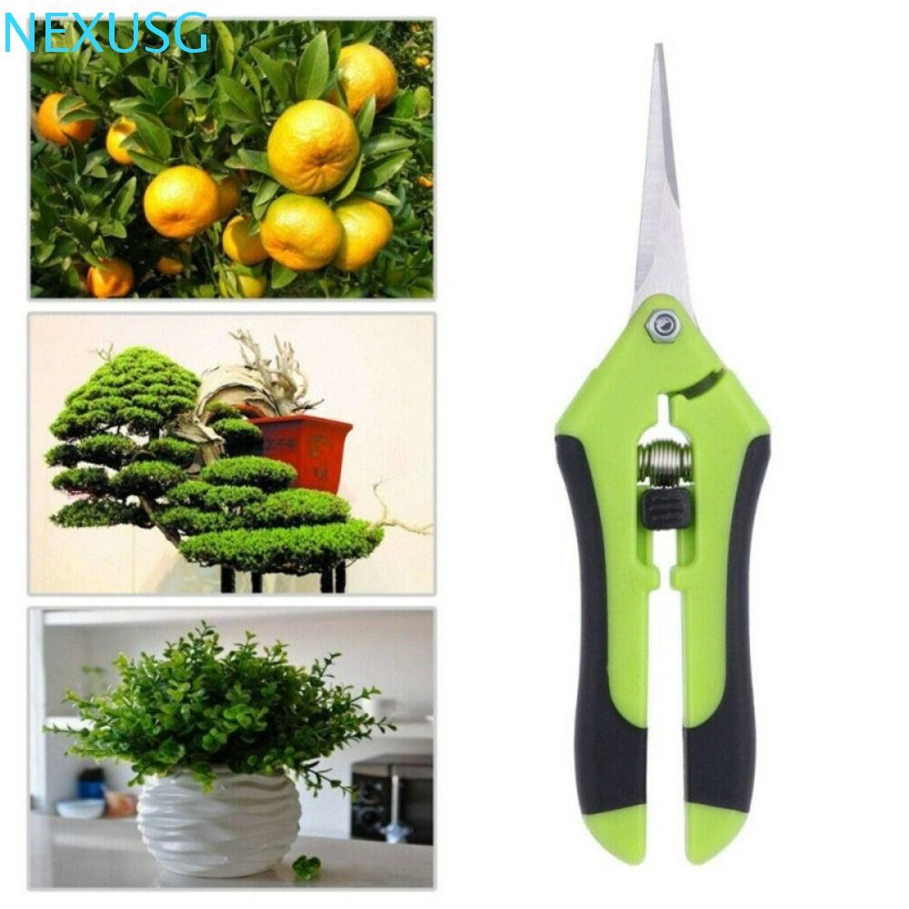 NEXUSG ตัดแต่งกิ่งเครื่องมือสวน Pruners สําหรับครัวเรือนกระถางบอนไซเครื่องมือเครื่องตัดมืออุปกรณ์ทํา