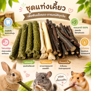 ไม้ไผ่หวาน ไม้แอปเปิ้ล สำหรับสัตว์ฟันแทะ ลับฟันสำหรับสัตว์เลี้ยง
