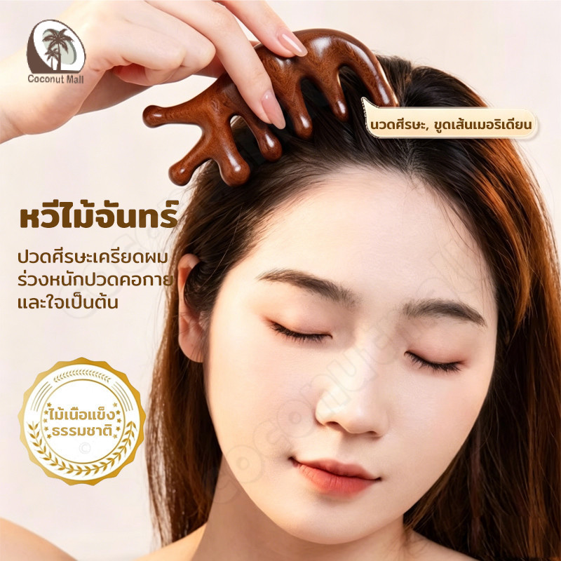 หวีไม้จันทน์ ห้าซี่ แบบเมริเดียน ป้องกันไฟฟ้าสถิตย์ สําหรับนวดศีรษะ 1 ชิ้น
