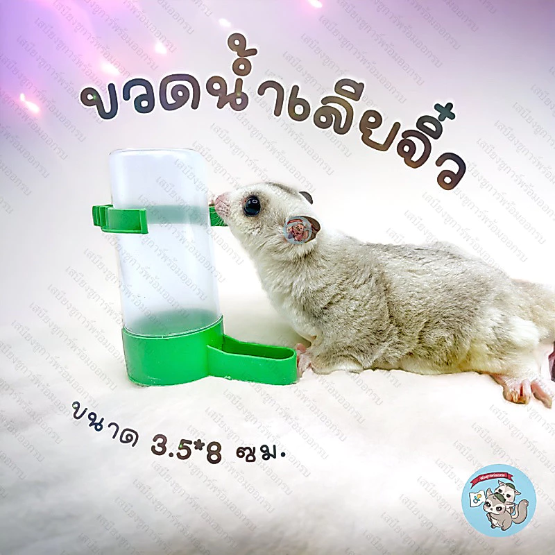 V ( ขวดน้ำเลียจิ๋ว ) ขวดน้ำติดกรง ขวดน้ำชูการ์