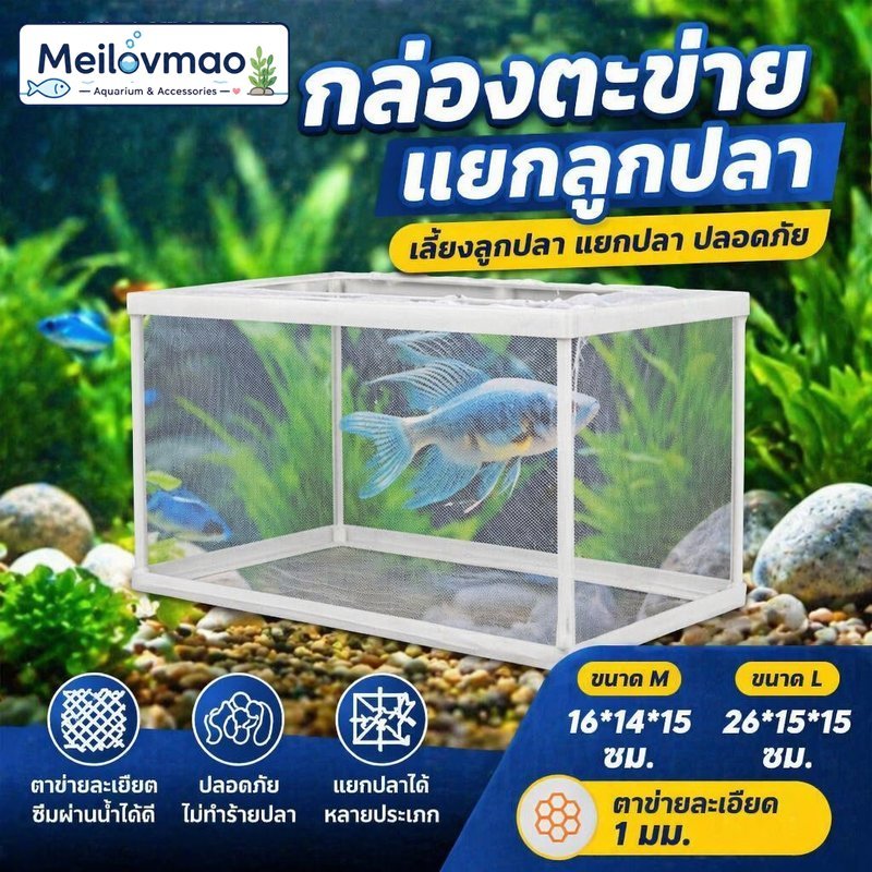 Meilovmao กล่องแยกปลาตู้ปลา กล่องเพาะพันธุ์ปลา กล่องฟักไข่ปลา ตาข่ายใส ลูกปลา ปลาหางนกยูง มีพาร์ทิชัน