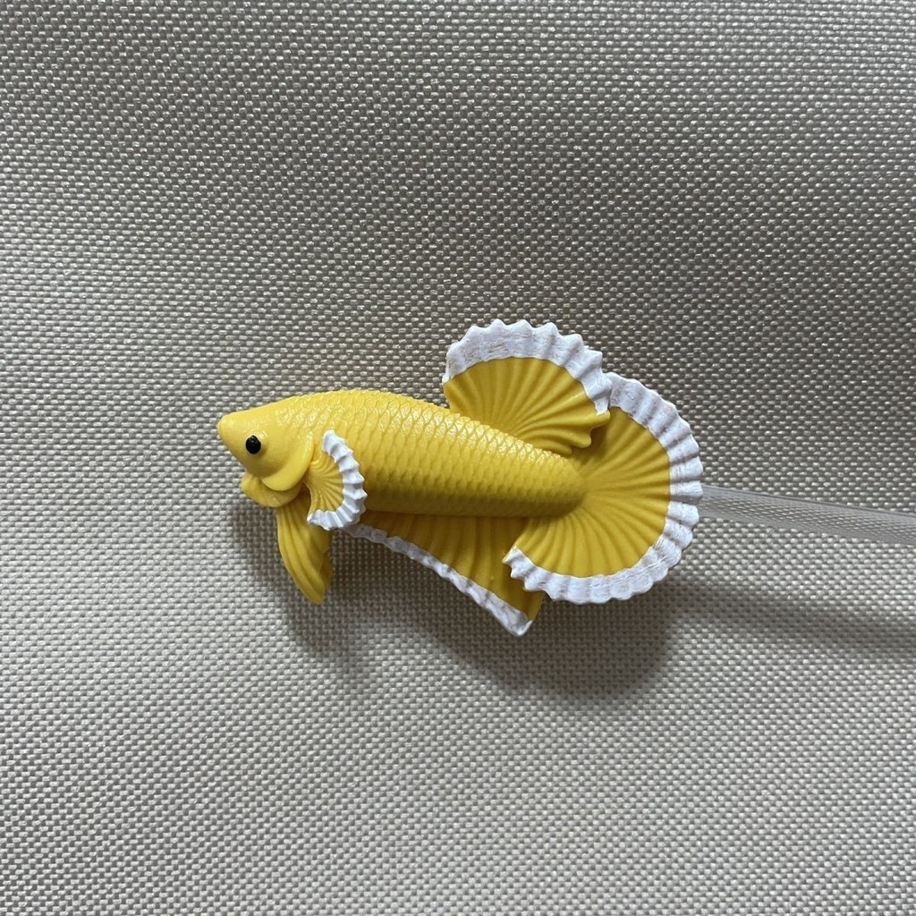 2025 สินค้าใหม่ ไม้ล้อเล่นปลาปลากัดไทย ไม้ฝึกปลากัด ปากกาปลากัดต้องมี แท่งปลาปลากัด อุปกรณ์เครื่องมือ ไม้ล้อเล่นปลากัด20250902