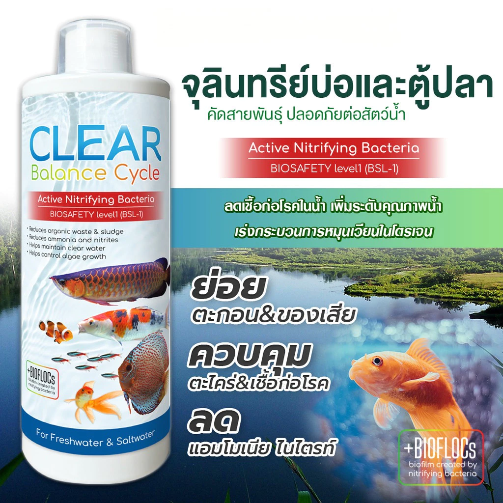 จุลินทรีย์ แบคทีเรีย ปรับสภาพน้ำใส บ่อปลา ตู้ปลา ย่อยของเสีย ลดกลิ่น คัดสายพันธุ์เฉพาะคุณภาพน้ำและสัตว์น้ำ