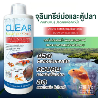 จุลินทรีย์ แบคทีเรีย ปรับสภาพน้ำใส บ่อปลา ตู้ปลา ย่อยของเสีย ลดกลิ่น คัดสายพันธุ์เฉพาะคุณภาพน้ำและสัตว์น้ำ