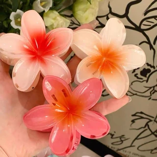 YTL น่ารัก ดอกไม้ คลิปผม การจับคู่ หลายสี ไล่ระดับสีไข่ดอกไม้กิ๊บผม สไตล์รีสอร์ม แฟชั่นฤดูร้อน เครื่องประดับผม