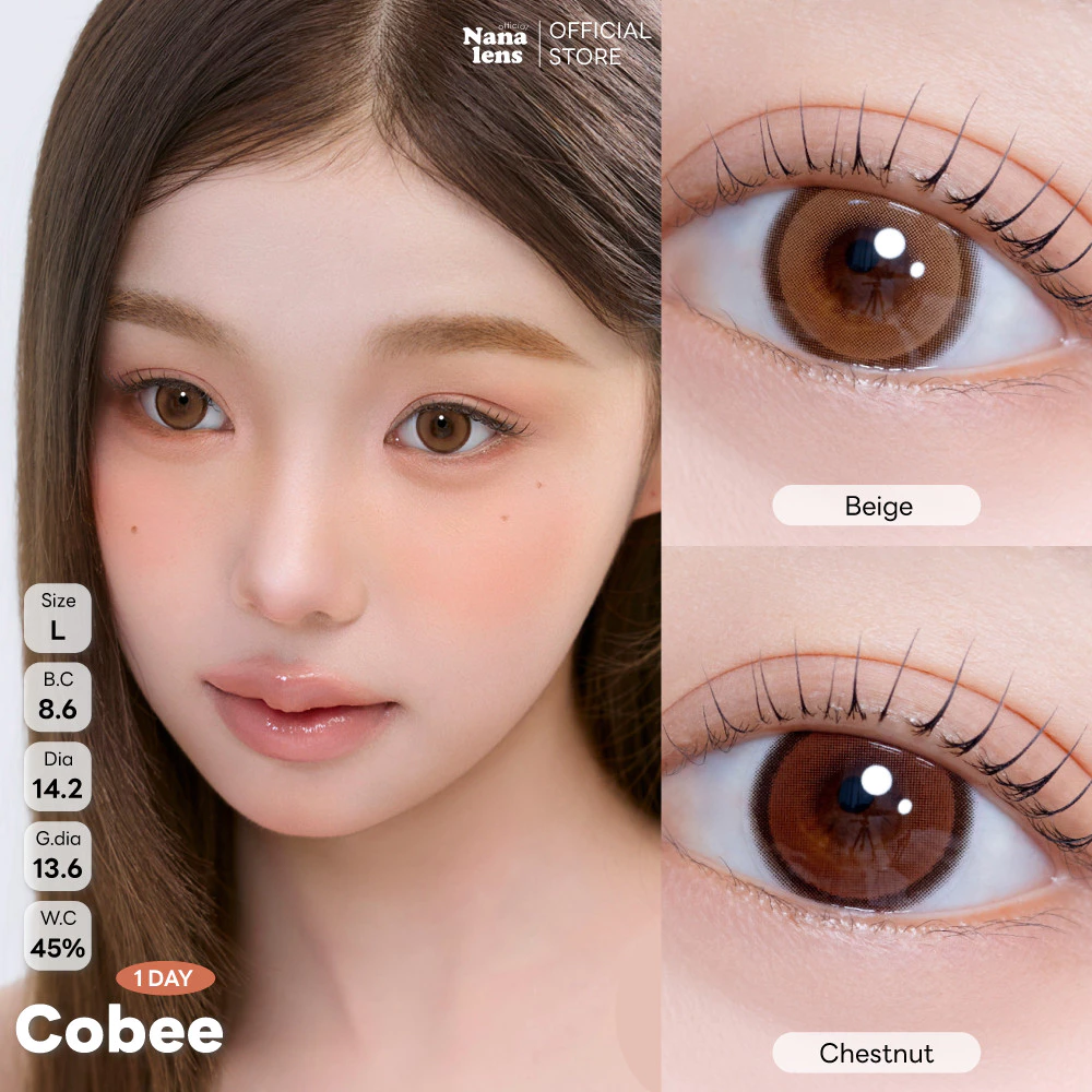 [แบ่งขาย/ยกกล่อง] MYFiPN 1 day Cobee สี Beige/Chestnut คอนแทคเลนส์รายวัน