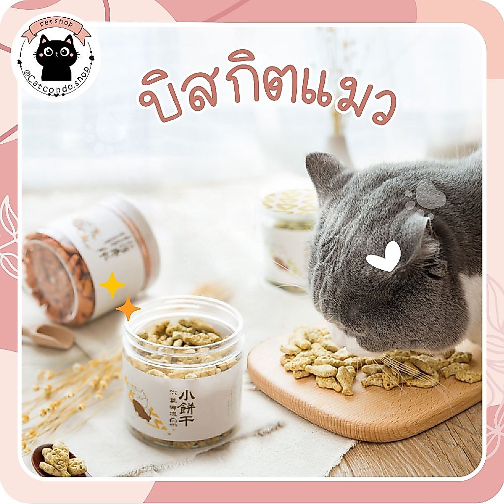 🌵 บิสกิตเเมว ขนมเมว คุกกี้เเมวรสมิ้น กลิ่นใบมินต์ ช่วยสำรอกก้อนขน รูปร่างปลาขนาดเล็ก 🌵