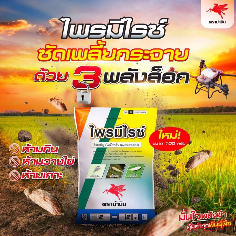 ไพรมีไรซ์ (ไพมีโทรซีน 50%) ถูกกว่า คุ้มมาก เพลี้ยกระโดดสีน้ำตาล เพลี้ยจักจั่น เพลี้ยไก่แจ้ แมลงหวี่ขาว 100g