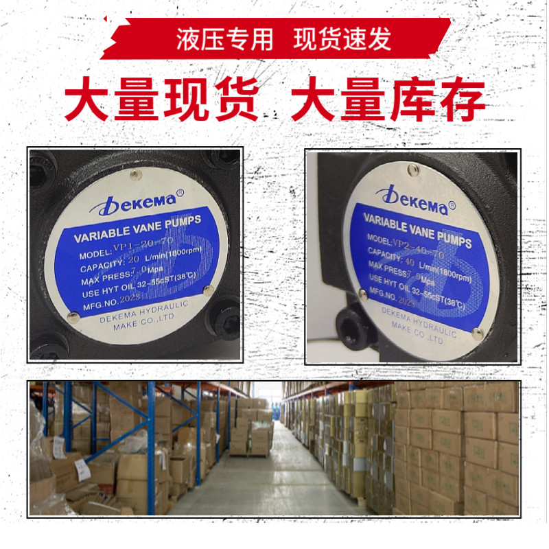 Dekema dekema Leaf Pump VP2-40-70 VP2-30-70 VP1-20-70 VP1-15-55/35