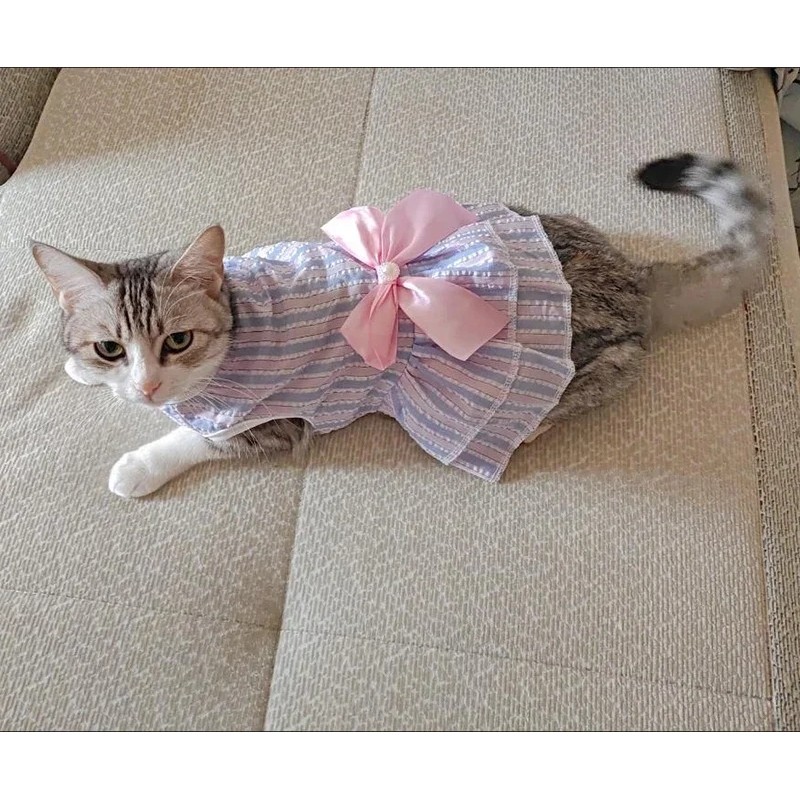 ลูกสุนัขแนวตั้งลายผีเสื้อกระโปรงฤดูร้อน กระโปรงสุนัขสัตว์เลี้ยงเจ้าหญิงสุนัขชุดแต่งงานกระโปรงแมว ชิสุ เสื้อผ้าสุนัข - รูปที่ 6
