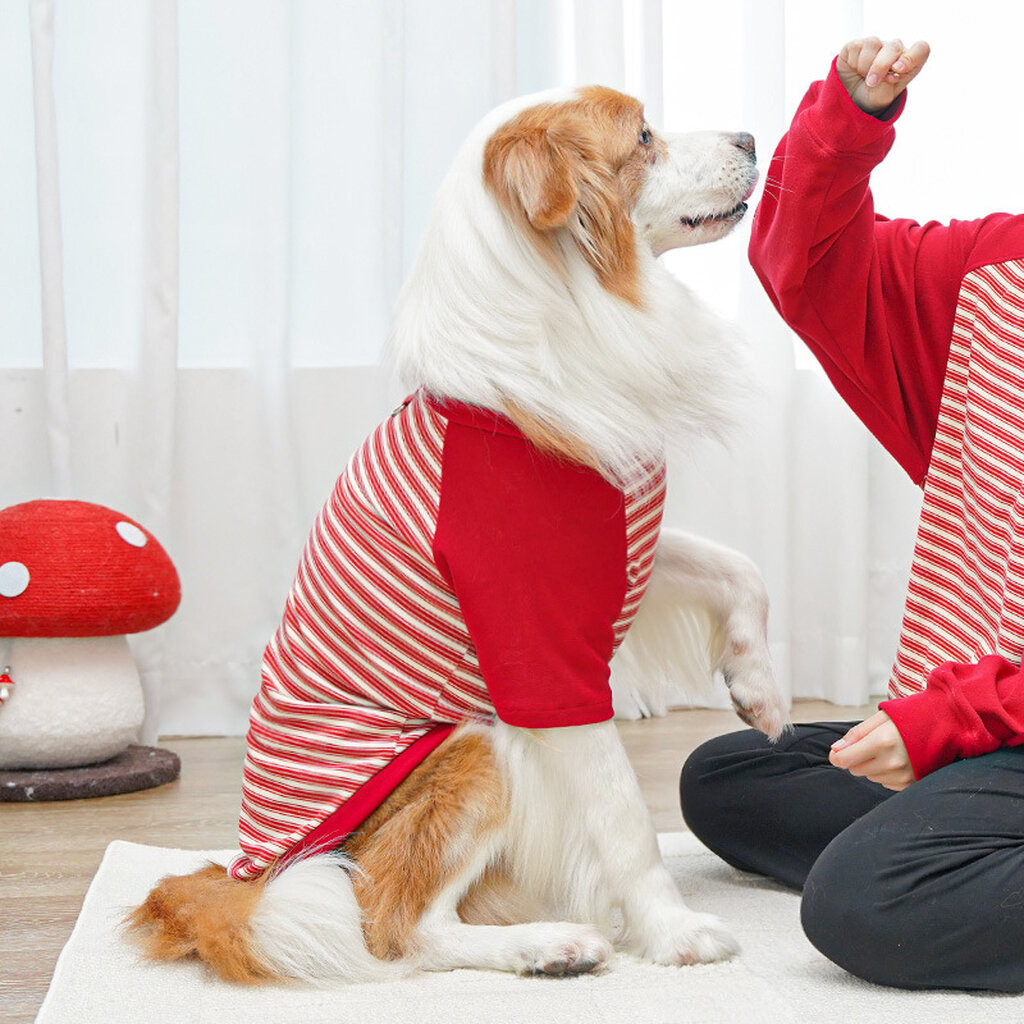 🇹🇭พร้อมส่ง🇹🇭 มีไซส์ XS-6XL 🐻 เสื้อลายทางสุดเท่ห์ for pet เสื้อสุนัข แมว หมา หมาใหญ่ - รูปที่ 6