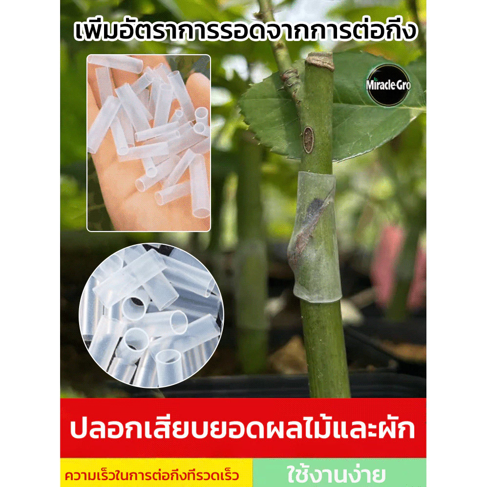 ปลอกซิลิโคนต่อกิ่ง อุปกรณ์ป้องกันจุดต่อกิ่ง สำหรับไม้ผลและไม้ดอก