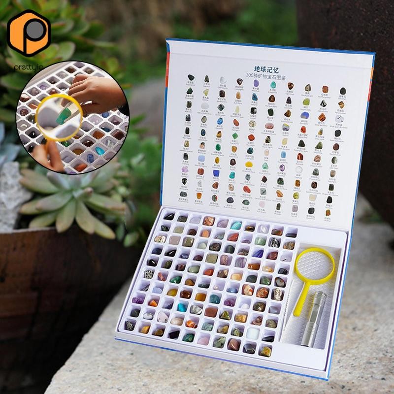 [สวย] 100 ชิ้น/กล่อง Rock & Mineral Collection Stem Geology Education Rock Mineral สําหรับ