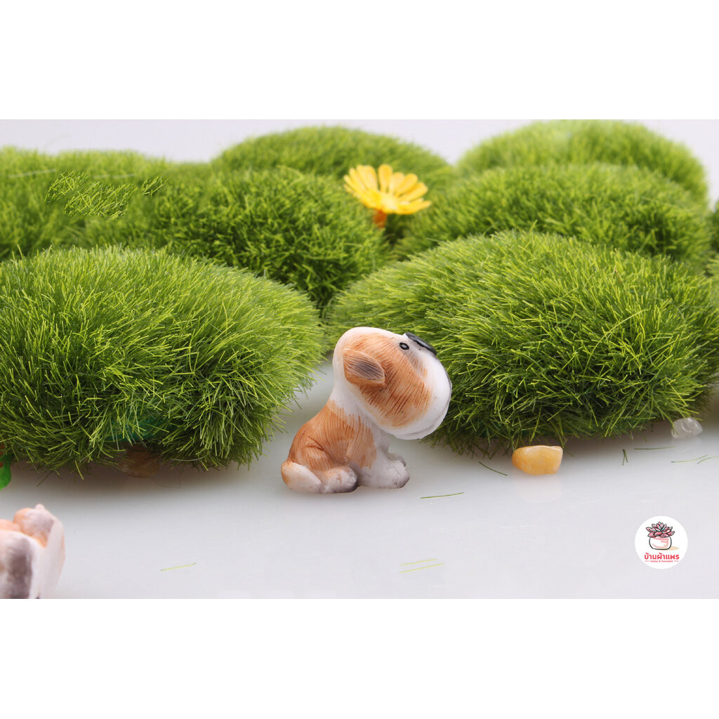 หมาจมูกโต [ เซต 4 ชิ้น ] ตุ๊กตาจิ๋ว โมเดลจิ๋ว แต่งสวน ตุ๊กตาแต่งสวนจิ๋ว ตุ๊กตาจัดสวนถาด - รูปที่ 6