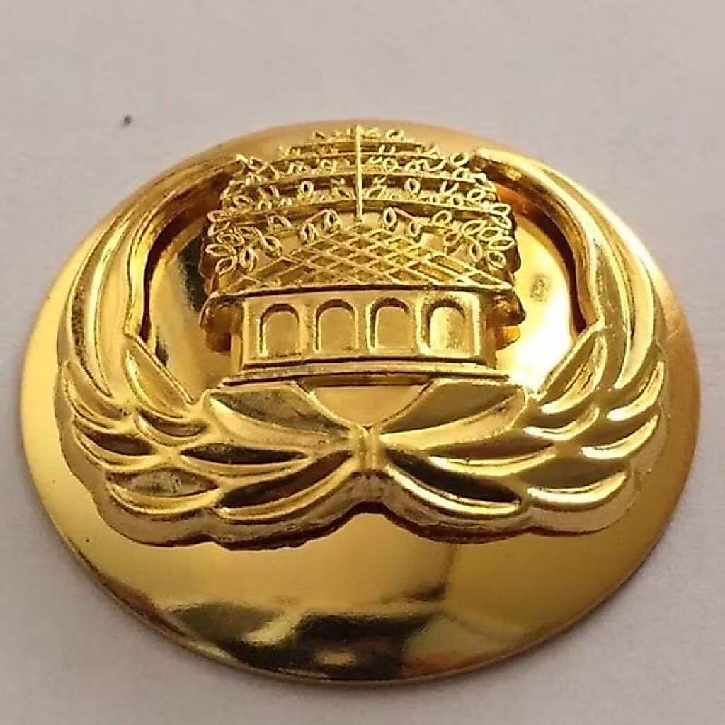 [luxury premium] asn korpri pin