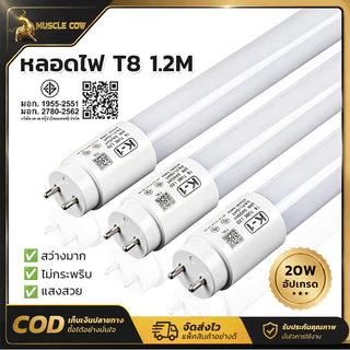 MUSCLE COW หลอดไฟ LED T8 ยาว 1.2 เมตร กำลัง 20 วัตต์ ผ่านรับรองมาตรฐาน มอก. แสงสว่างสูง ไม่กระพริบป้องกันอาการปวดตา