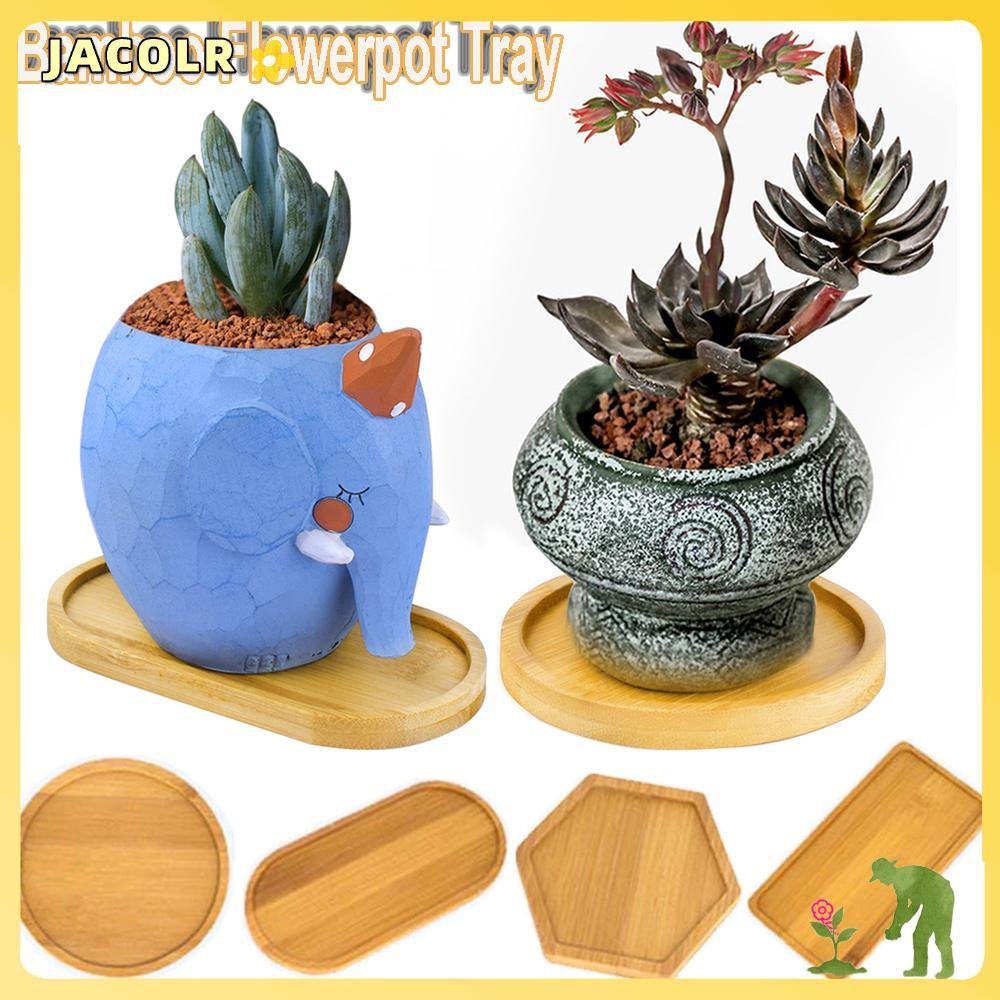 JACOLR ฐานกระถางดอกไม้ของขวัญตกแต่งบ้าน Succulents ผู้ถือบอนไซรอบสี่เหลี่ยม