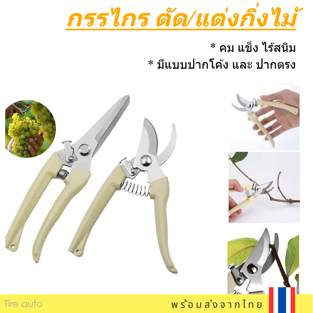 กรรไกรตัดกิ่งไม้ กรรไกรแต่งกิ่ง กรรไกร ทำสวน มีแบบ ปากโค้ง ปากตรง