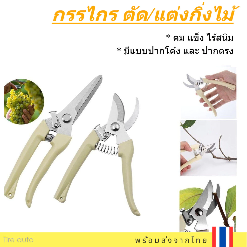 กรรไกรตัดกิ่งไม้ กรรไกรแต่งกิ่ง กรรไกร ทำสวน มีแบบ ปากโค้ง ปากตรง