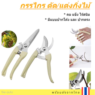 กรรไกรตัดกิ่งไม้ กรรไกรแต่งกิ่ง กรรไกร ทำสวน มีแบบ ปากโค้ง ปากตรง