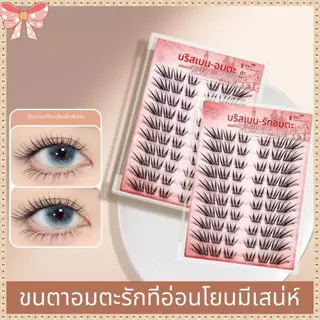 【สินค้าใหม่】ขนตาปลอมกาวในตัว บาง เบา ทรงสวยจึ้ง มีครบทุกลุค เหมาะกับทุกสไตล์