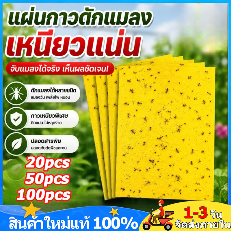 20/50/100 แผ่น กาวดักแมลงวัน 20X10/20X15cm แผ่นกาวดักแมลงสีเหลือง แผ่นกาวดักแม ปลอดภัยใช้ง่าย กาวเหนียวพิเศษ