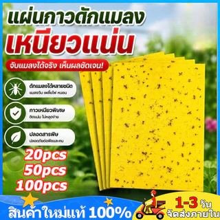 20/50/100 แผ่น กาวดักแมลงวัน 20X10/20X15cm แผ่นกาวดักแมลงสีเหลือง แผ่นกาวดักแม ปลอดภัยใช้ง่าย กาวเหนียวพิเศษ