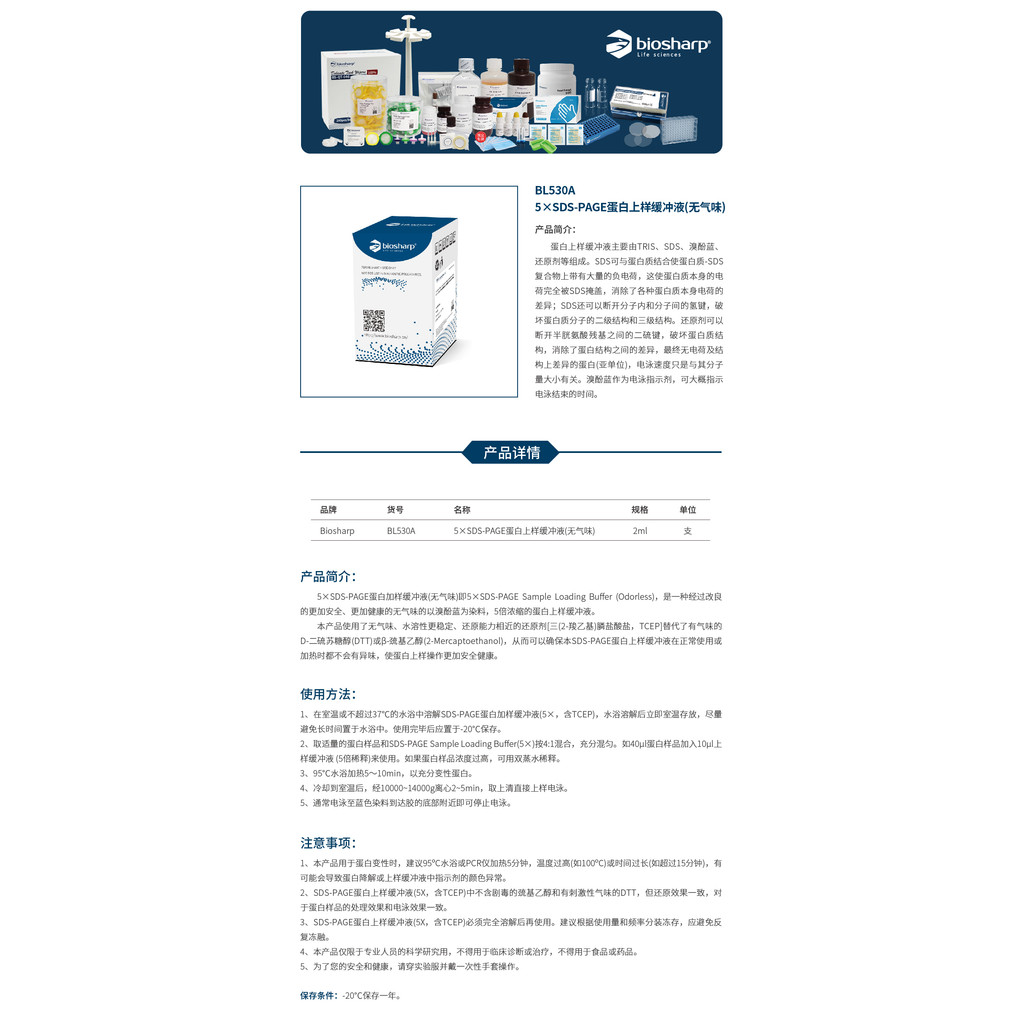 Biosharp BL530A 5 x SDS-PAGE Protein Sampling Cushioning Liquid (ไม่มีกลิ่น)