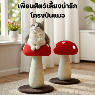 Pet-Home ที่ลับเล็บแมวรูปร่ม แบบผสมผสานเชือกป่าน&ผ้าสักหลาด …