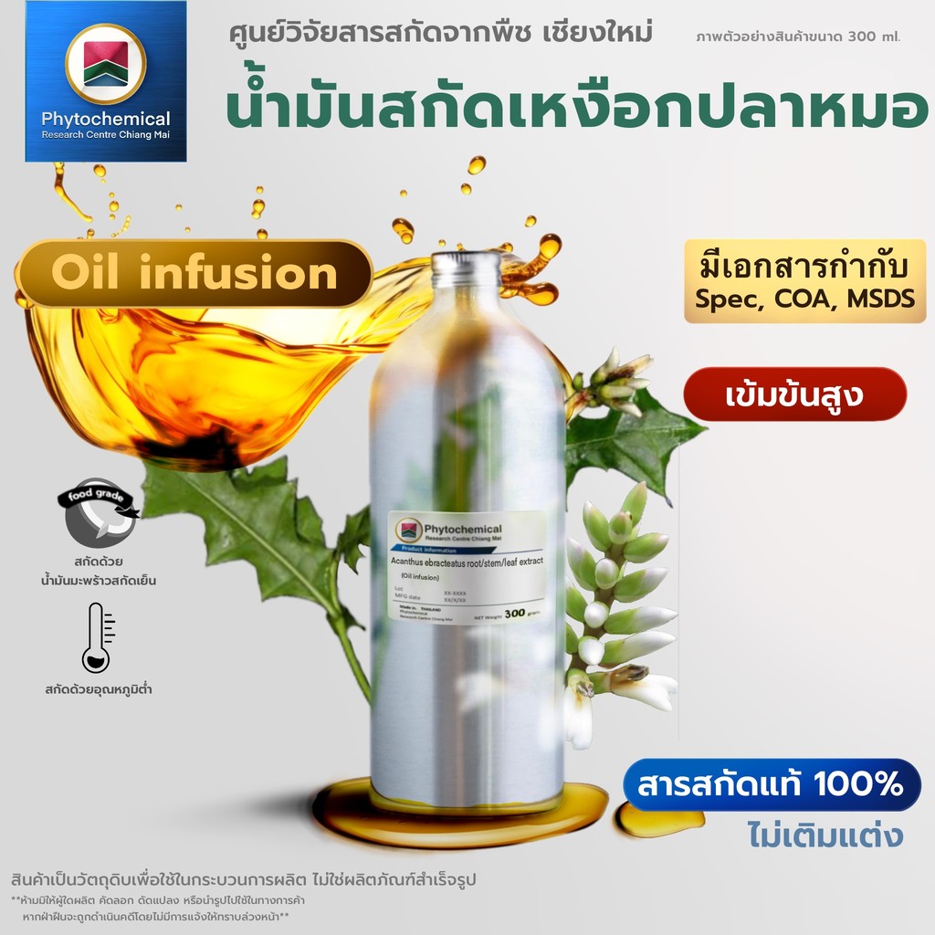 น้ำมันเหงือกปลาหมอ(Oil infusion) Sea holly | สารสกัดจากพืช สารสกัดสมุนไพร 100% | เข้มข้นสูง 25-100 ml.