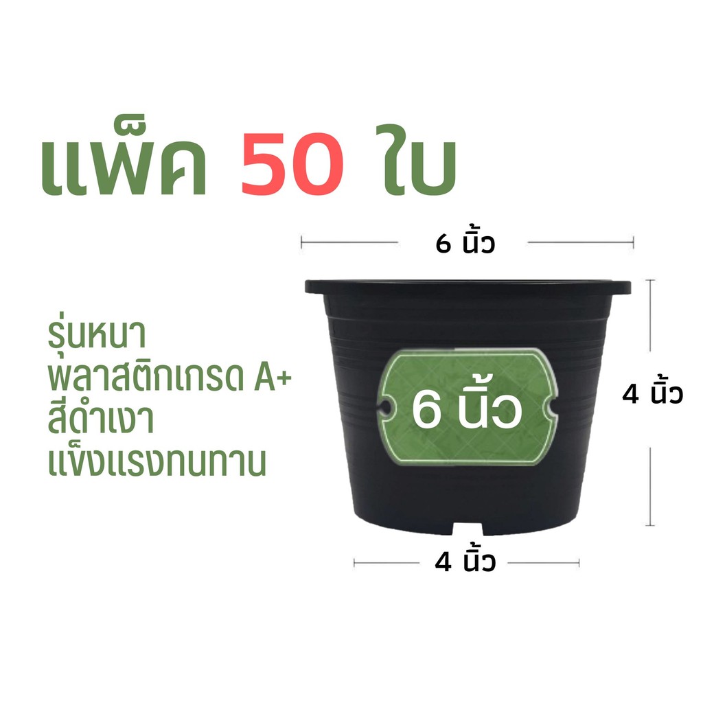 กระถางต้นไม้ 4 นิ้ว แพ็ค 50 ใบ กระถางพลาสติก กระถาง สีดำเงา (รุ่นหนา)