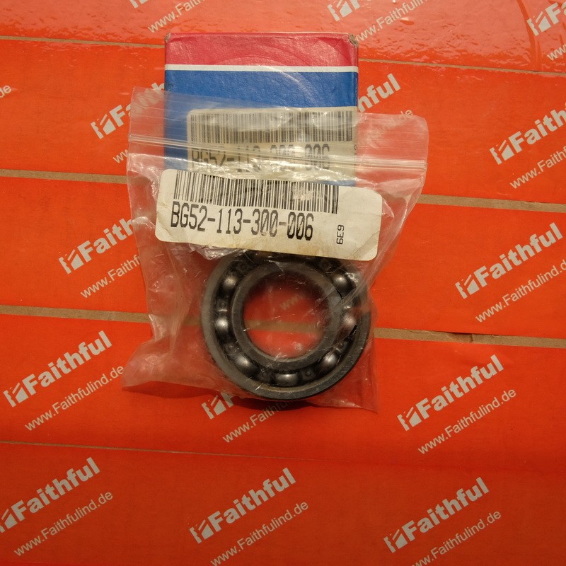 BELL GOSSETT 52-113-300-006 赛莱泵 轴 Xylem