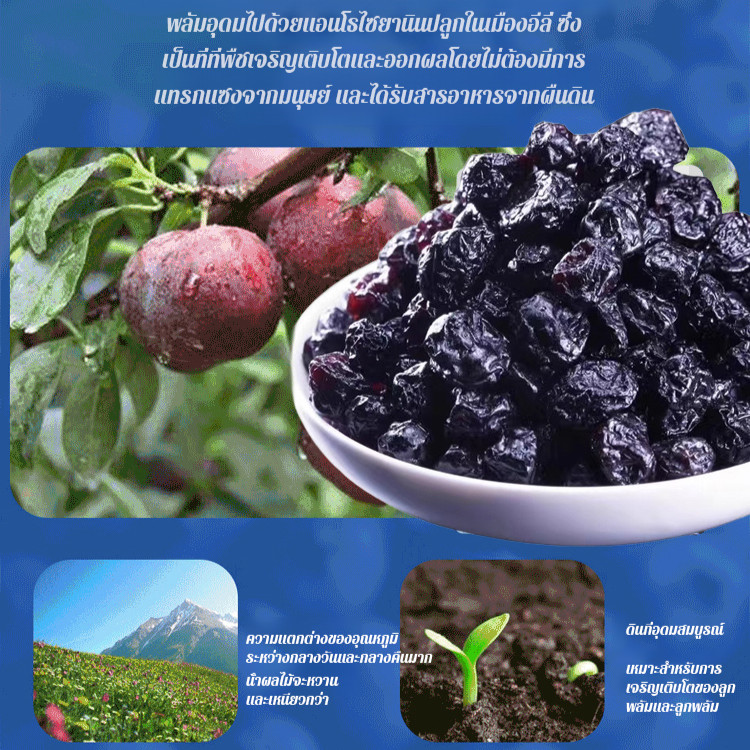 💕ผู้ขายในพื้นที่💕บลูเบอร์รี่อบแห้งเกรดพรีเมียมไม่มีน้ำตาล อุดมไปด้วยแอนโทไซยานิน พร้อมทาน 100กรัม/ถุง อาหารอร่อย อุดมไปด้วยแอนโทไซยานิน บลูเบอร์รี่แห้ง บลูเบอร์รี่ - รูปที่ 5