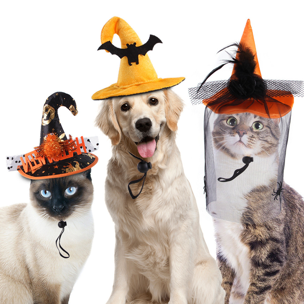 T Manufacturer Hot Selling Pet Funny Cat Halloween Hat Bat Spider Skull Pattern Dog Funny Headdress 