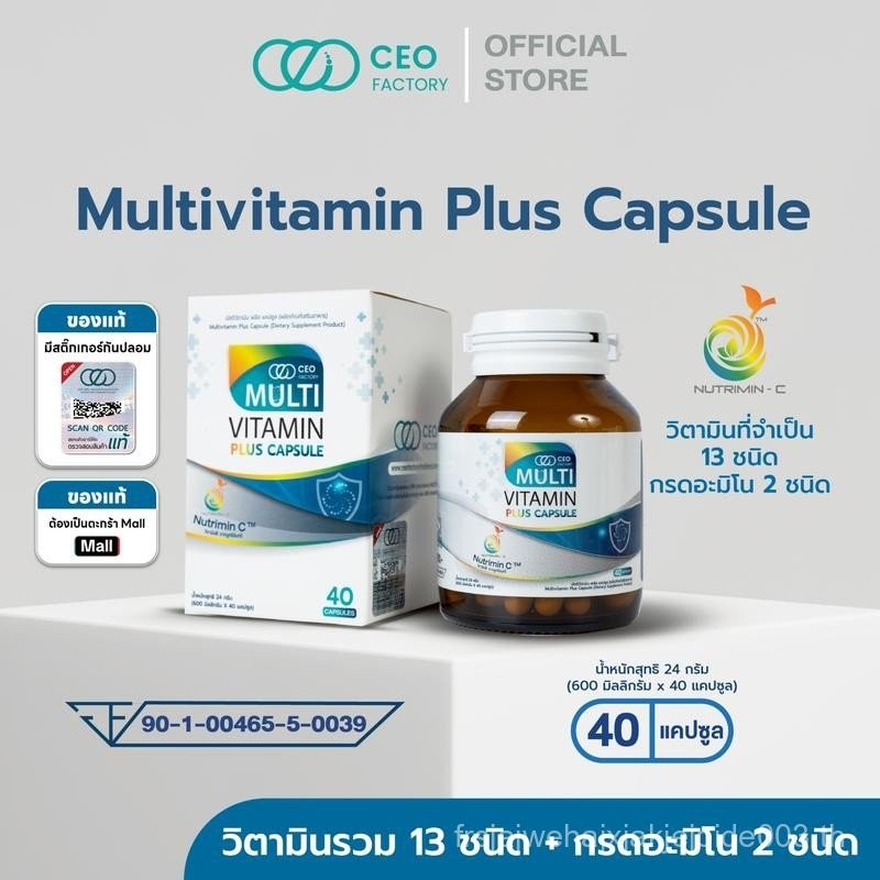 Multivitamin Plus Capsule (CEO Factory Brand) วิตามินรวม 13 ชนิด Vitamin B Complex , Vitamin E , Vit