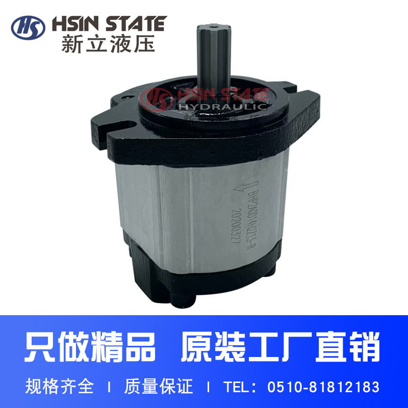 ปั๊มเกียร์ BHP2A0D14H2Z13-R/BHP2A0D16/D20/D25/D28/D36/D10 ด้านหลังเข้าและออก