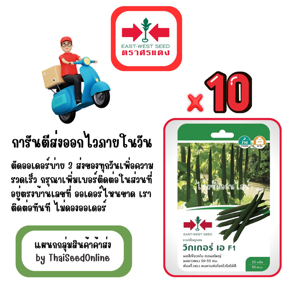 GG x 10 เมล็ดผักซองศรแดง วิกเกอร์เอ บวบเหลี่ยม สินค้ายกแพ็ค