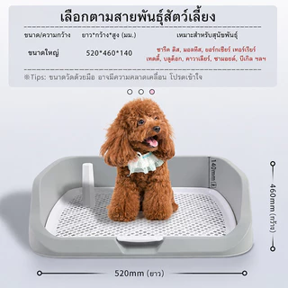 ถาดรองฉี่สุนัข ห้องน้ำสุนัข 2 ชั้น มีเสาถอดได้ ถาดฉี่สุนัข แบบมีเสา กระโถนในร่มแบบเรียบง่าย มีตะแกรงรองถาด ที่รองฉี่