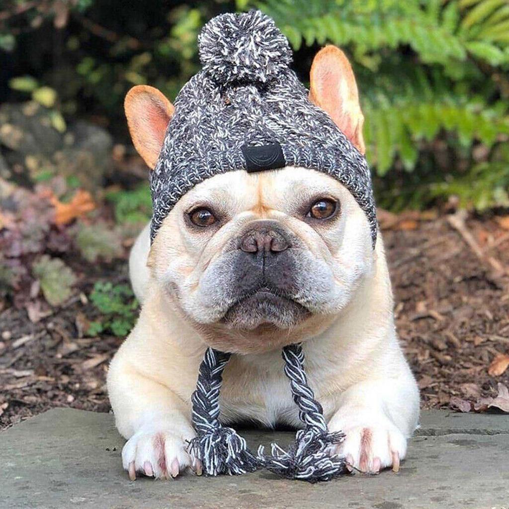 หมวกสัตว์เลี้ยง French Bulldog ฤดูหนาวหูเปิดทําด้วยผ้าขนสัตว์หมวกขนาดเล็กและสัตว์เลี้ยงสุนัขหมวกถักส