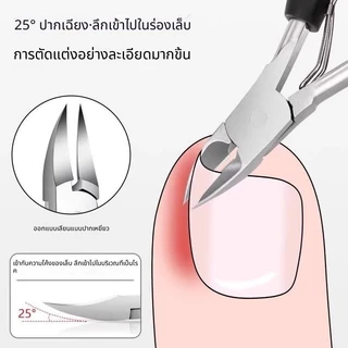 Xintai ที่ตัดเล็บ/ที่ตัดเล็บสำหรับผู้สูงอายุที่มีเล็บหนาและแข็งโดยเฉพาะ/กรรไกรตัดเล็บแบบมีร่องเอียง