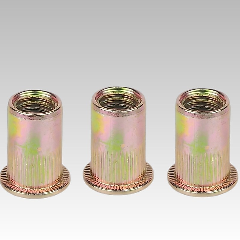 HL 100 ชิ้นเหล็กคาร์บอน Rivets Nut Blind ใส่ Nut 3 4 5 6 8 10 12 มิลลิเมตรแบนหัวเกลียว Rivets ใส่ Nu