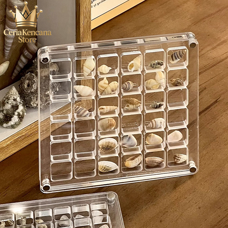 Small Shell Grid Box 36 Grid Acrylic 12.5x12.5cm Magnetic Seashell Display Box Storage Stone
