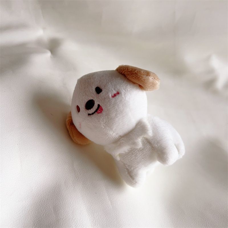 【พร้อมส่ง】ตุ๊กตา riize shotaro、eunseok、sungchan、wonbin、sohee、anton riize ตุ๊กตา/พวงกุญแจ Fan-made - รูปที่ 6