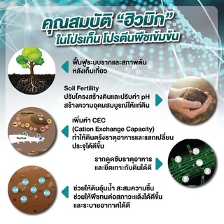 โปรเท็น ดวงตะวันเพชร โปรตีนพืช ฮิวมิก+อะมิโน *เน้นแตกยอด แตกราก* ฟื้นต้น ดินดี ใช้ได้กับพืชทุกชนิด 50กก.