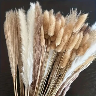 พร้อมส่ง ดอกไม้แห้งกกนิรันดร์ช่อดอก 40 ซม. ช่อดอกไม้กก ตกแต่งบ้าน ลมนอร์ดิก ดอกไม้แห้งธรรมชาติ