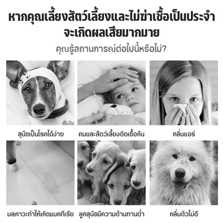 ดับกลิ่นใน 1วินาที GE ดับกลิ่นฉี่แมว สเปรย์ดับกลิ่นฉี่แมว สเปรย์ดับกลิ่นแมว 500ml ใช้ดับกลิ่นสัตว์เลี้ยงและดับกลิ่นห้อง