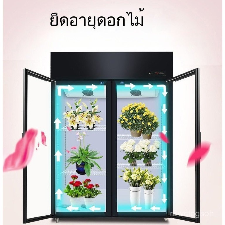 ตู้ดอกไม้  ตู้อุณหภูมิคู่  ตู้เย็น  PS9L