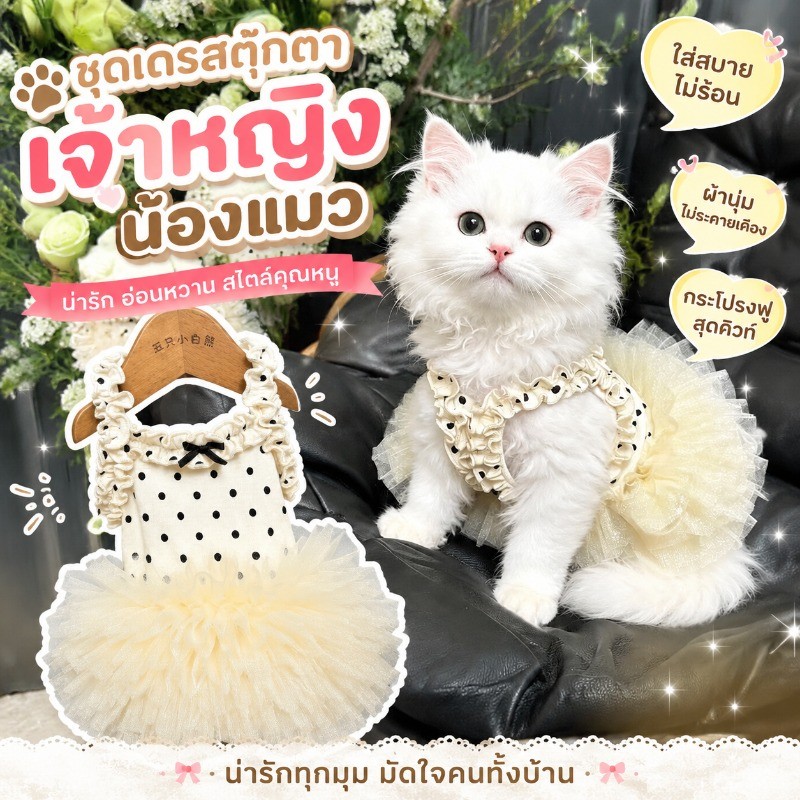 ชุดกระโปรงแมวและสุนัข กลุ่มสัตว์เลี้ยง ใหม่สำหรับฤดูร้อน น่ารักด้วยลูกไม้ ระบายอากาศได้ นุ่มและสบาย